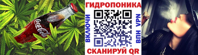 OMG tor Березники Canna-Cookies конопля где купить наркотик